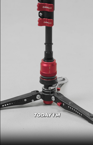 Video 2 trigger image