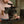 Load image into Gallery viewer, Shark Slider Nano Purchase
